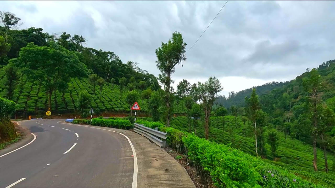 Indian farmlands, virtual walk | Walking through scenic lush tea gardens, Valparai's green wonders.