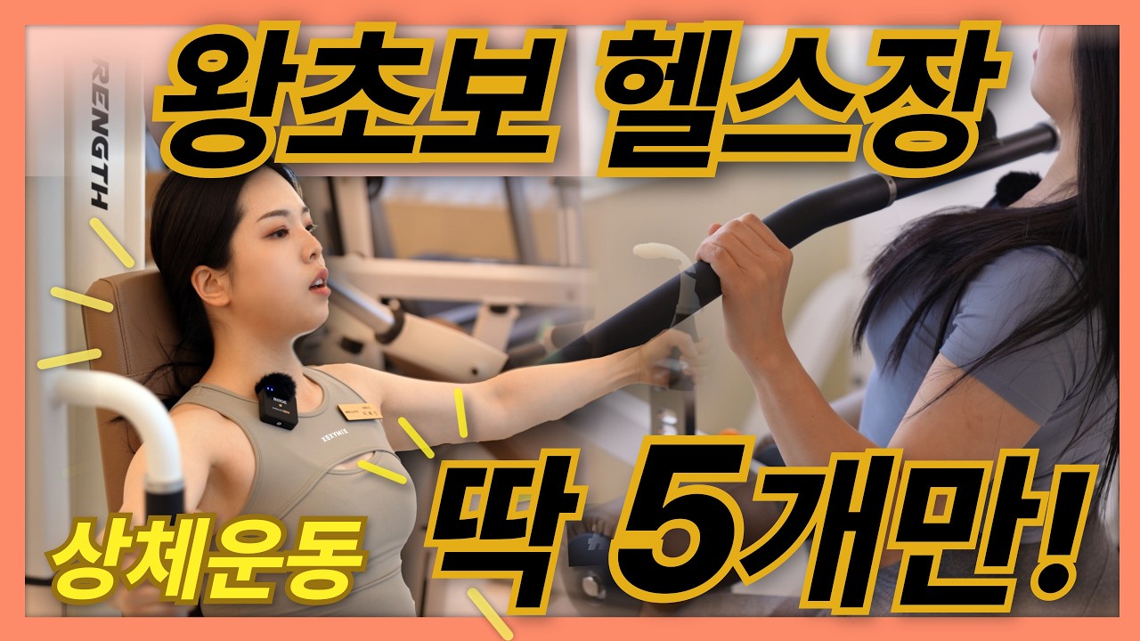 왕초보도 따라하는 3단계 상체 기구 루틴