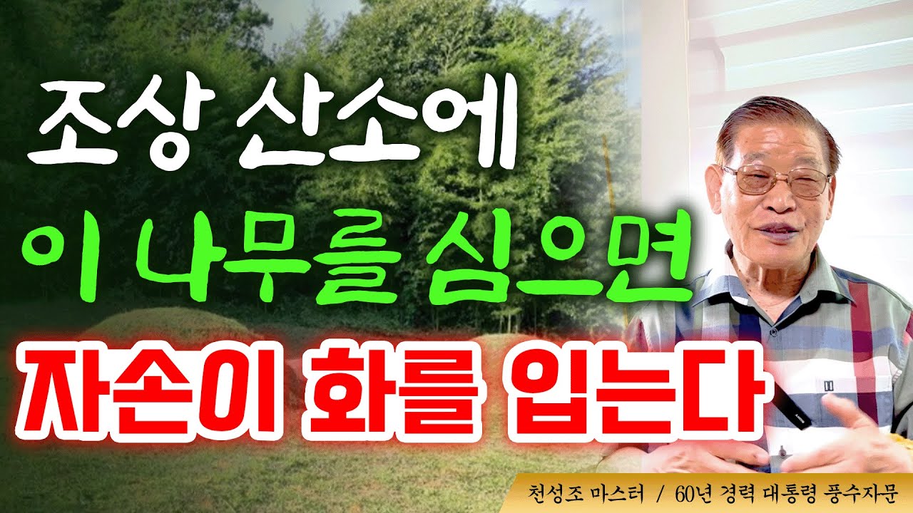 조상 산소에 이 나무를 심으면, 자손이 화를 입는다🌳[E.329]