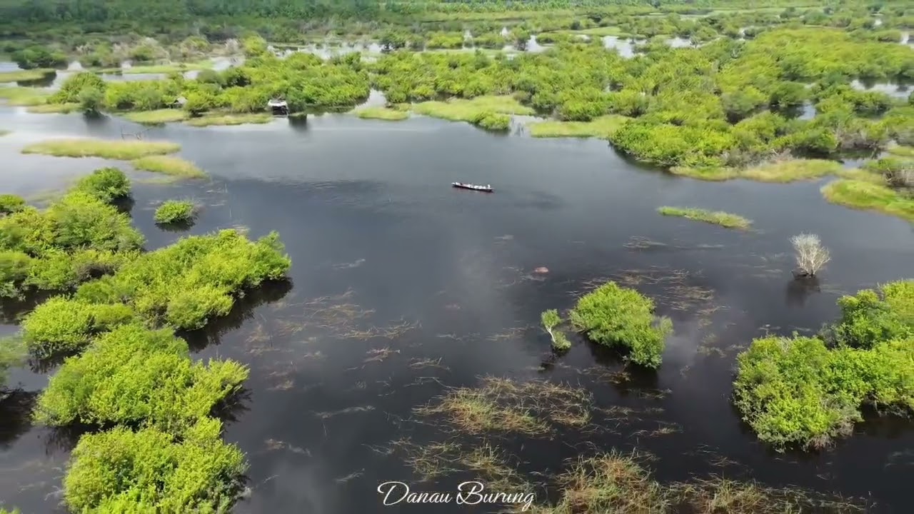 Danau Burung Ade di PENTURA #PENTURAPACAK