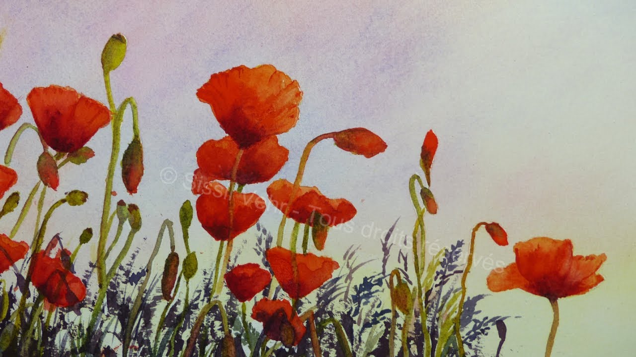 Aquarelle : Coquelicots : fleurs de coeur