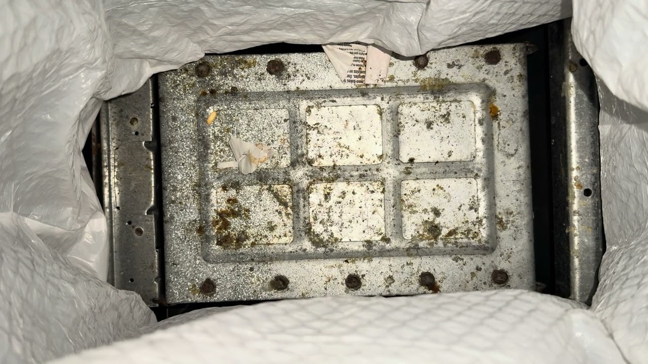 What Happens When the Door Closes? I Was SHOCKED!