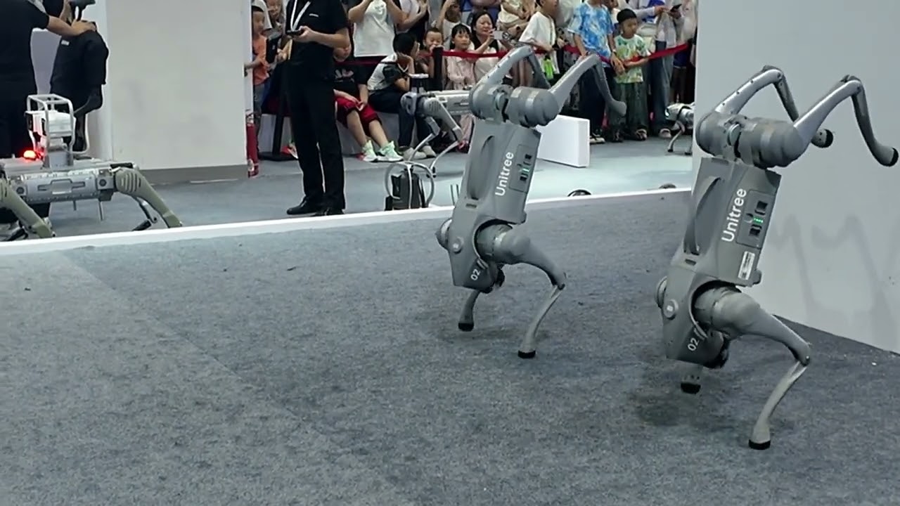 宇树科技机器狗，前空翻，侧空翻，后空翻， 倒立走