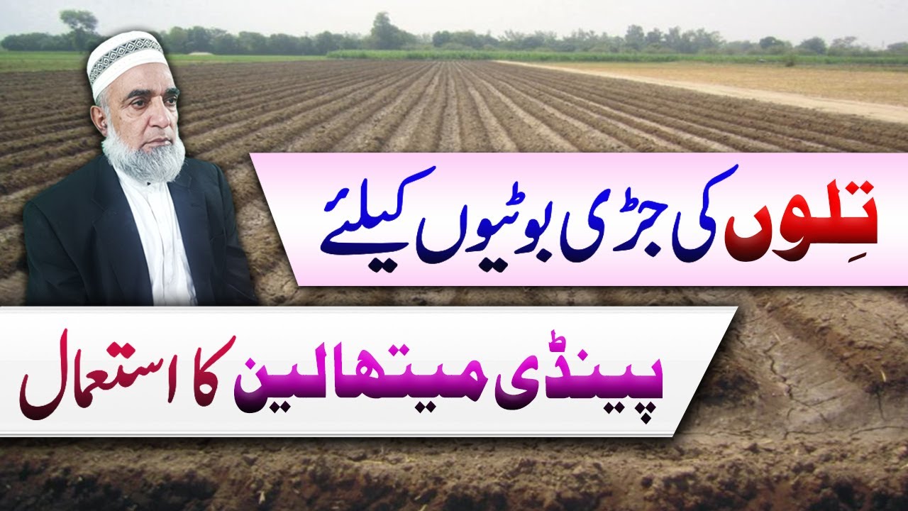 Preemergence use of Pendimethalin in Sesame crop || Crop Reformer