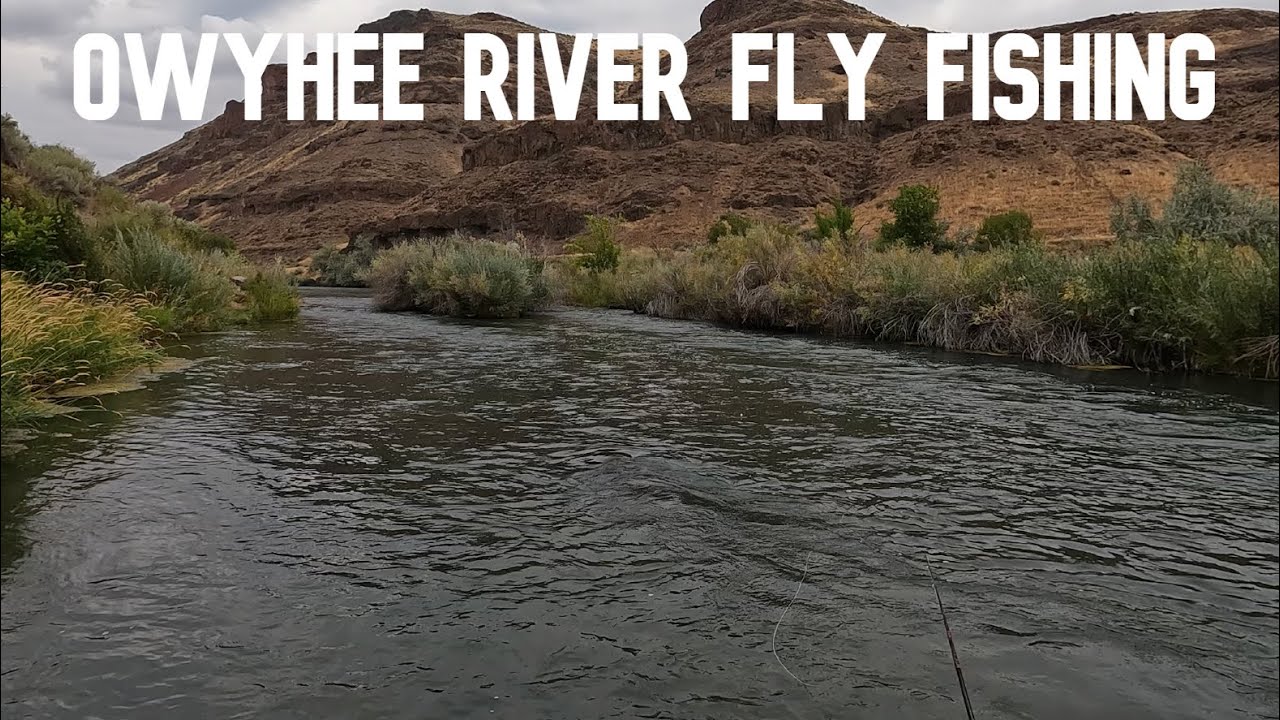 Fly Fishing The Owyhee River