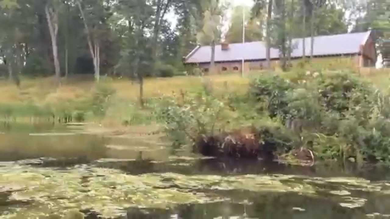 Trip on Galve lake and Uzutrakio pond by catamaran