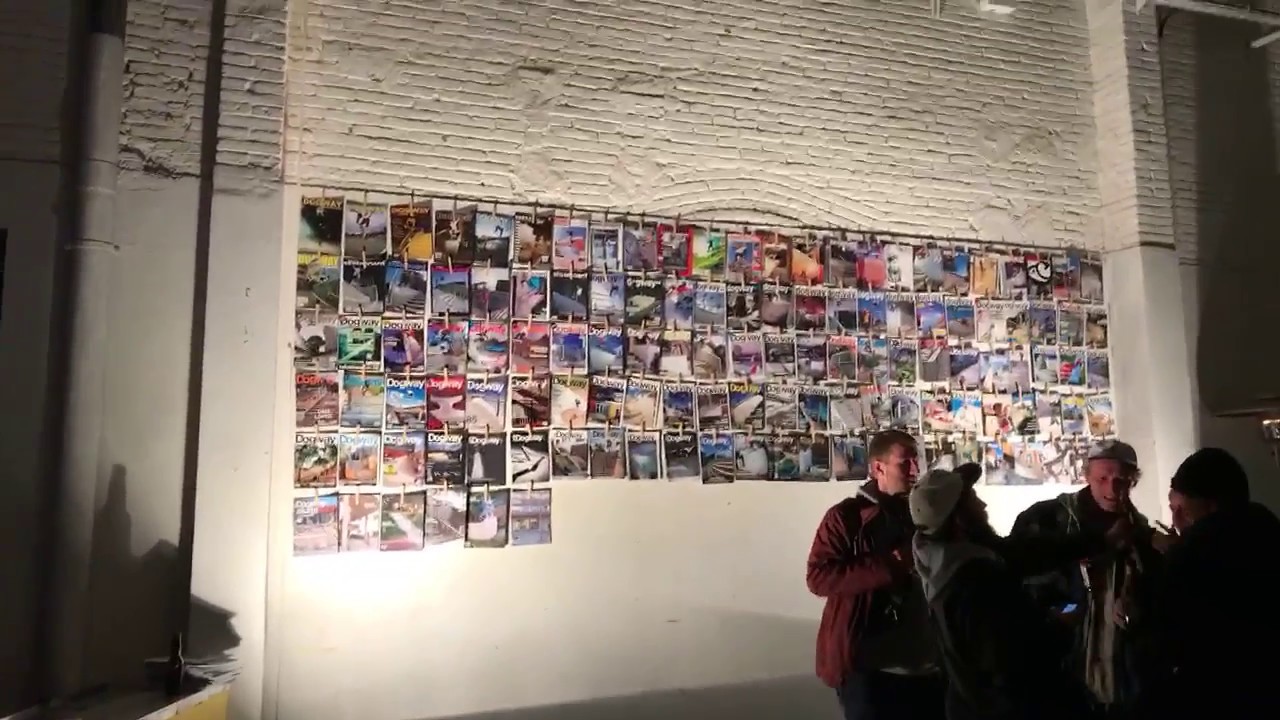 Fiesta Dogway 20 aniversario Parte 1