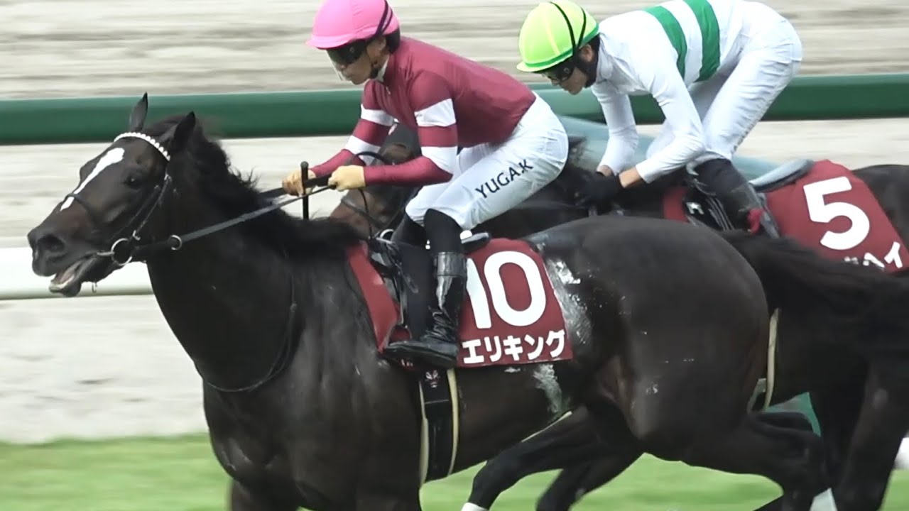 【現地】2025 G2 神戸新聞杯 エリキング 川田 将雅 【阪神競馬場】