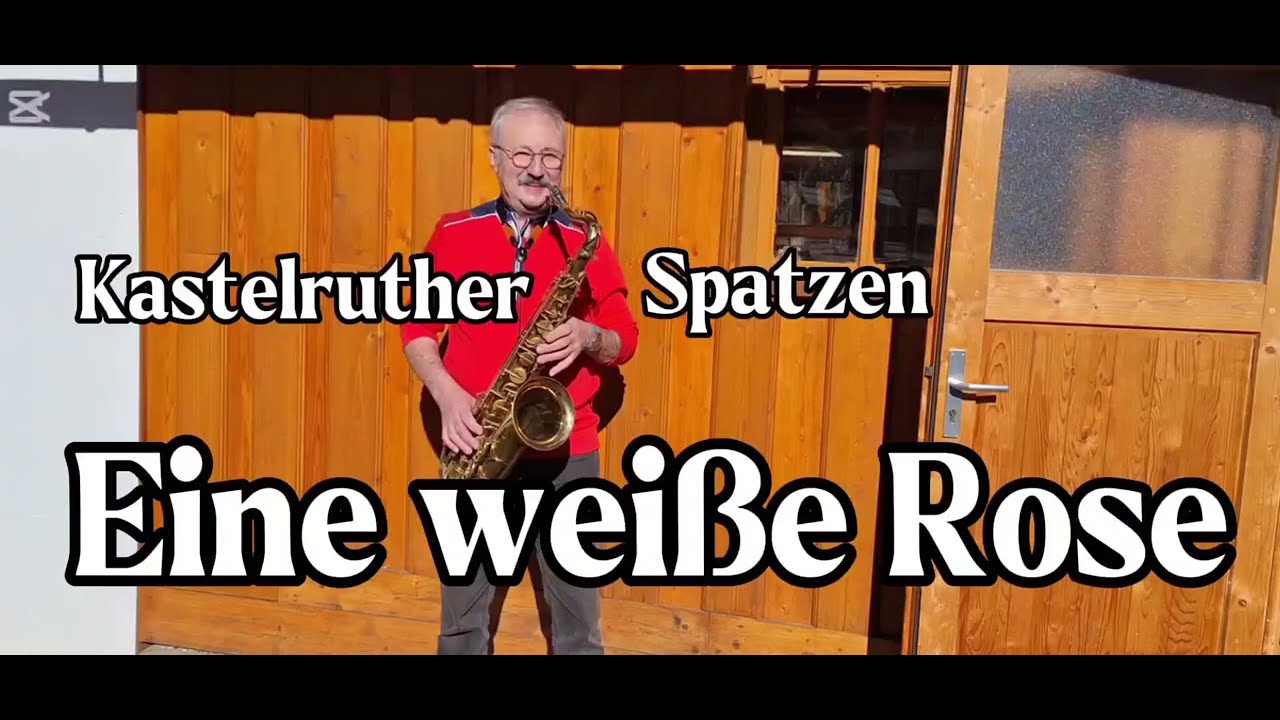Eine weiße Rose 