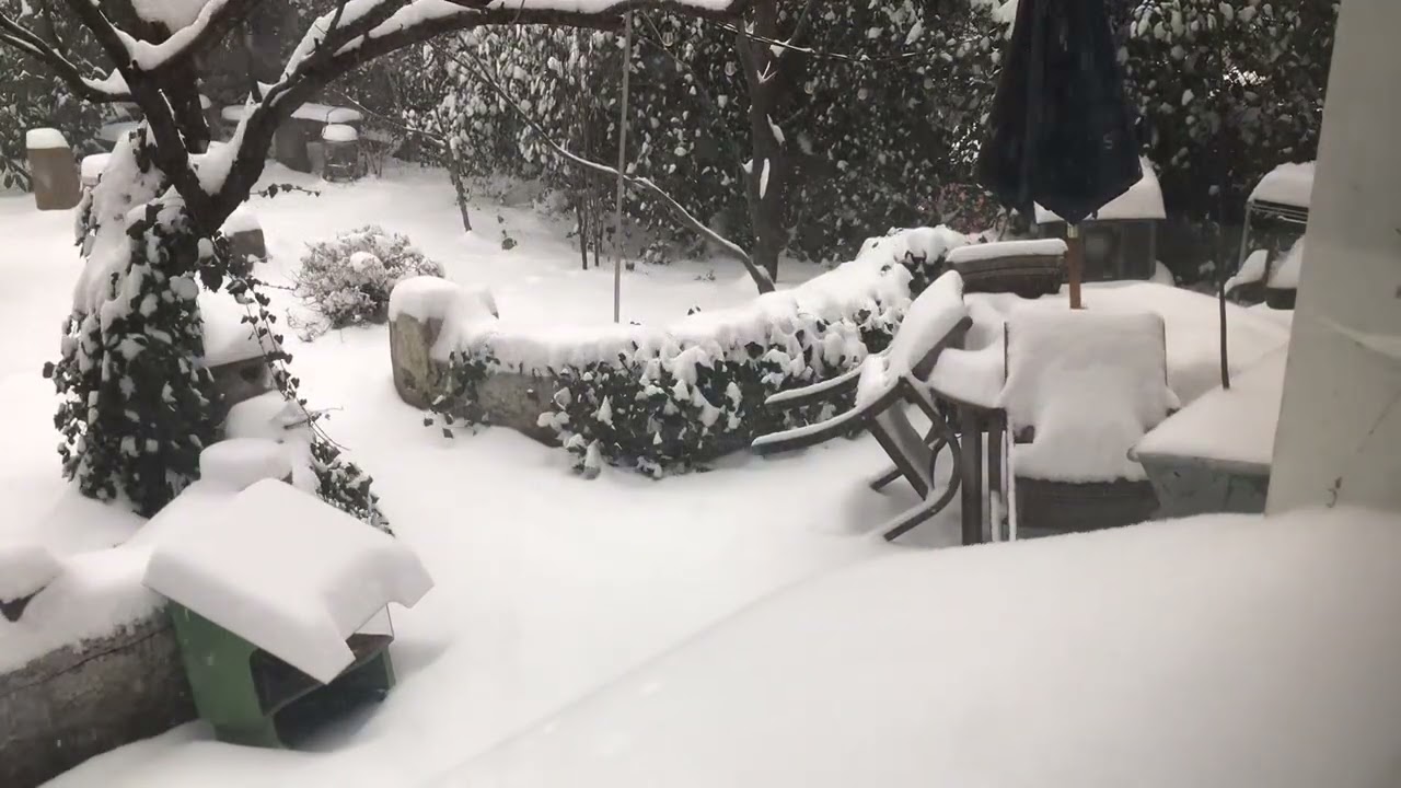 January 25 2026 snowfall time lapse
