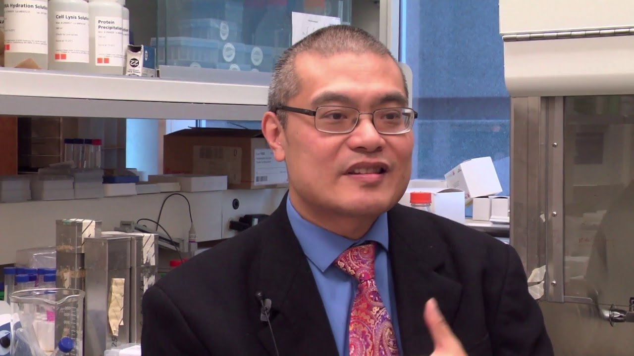Researchers find blood marker that defines which patients will respond to colorectal cancer drug
