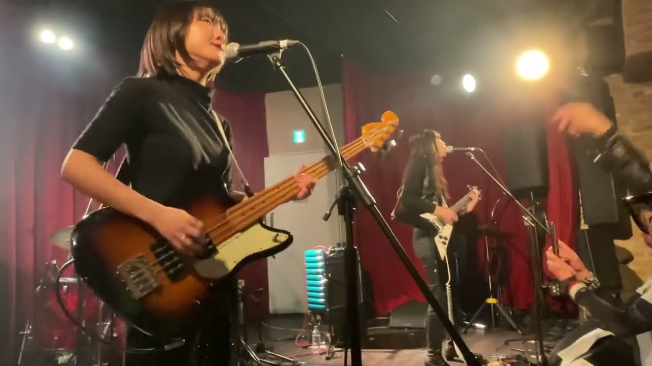 ザ・ハイマーツ(The Highmarts) / Tallahassee Lassie