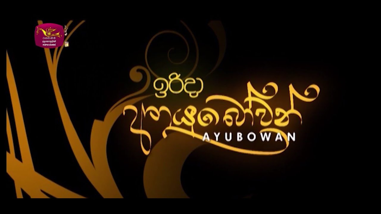 Irida Ayubowan | 2026-02-08 | Musician D D Gunasena