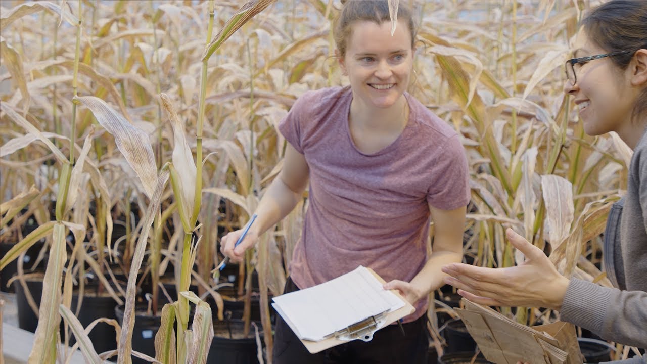 Exploring the connection between farmers, soil microbes & drought resilience