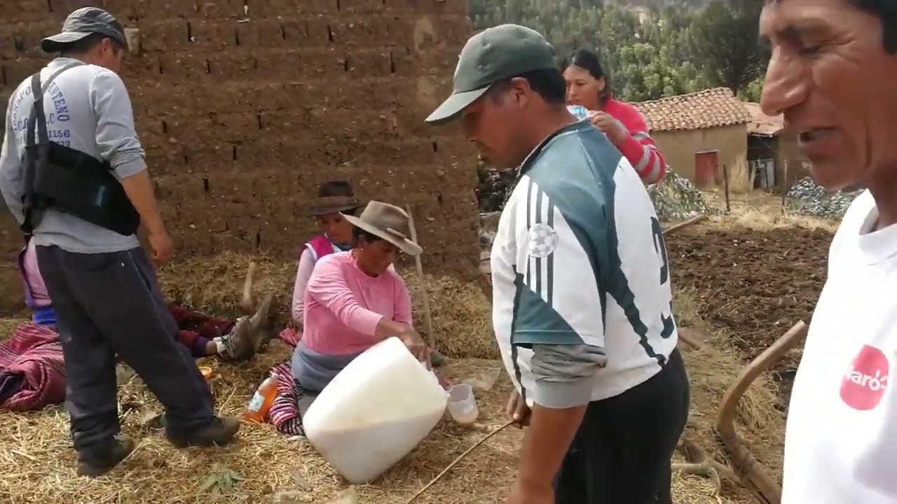 SIEMBRA MAIZ Y SU TINKA SANTA ROSA GRAU 19-09-2020