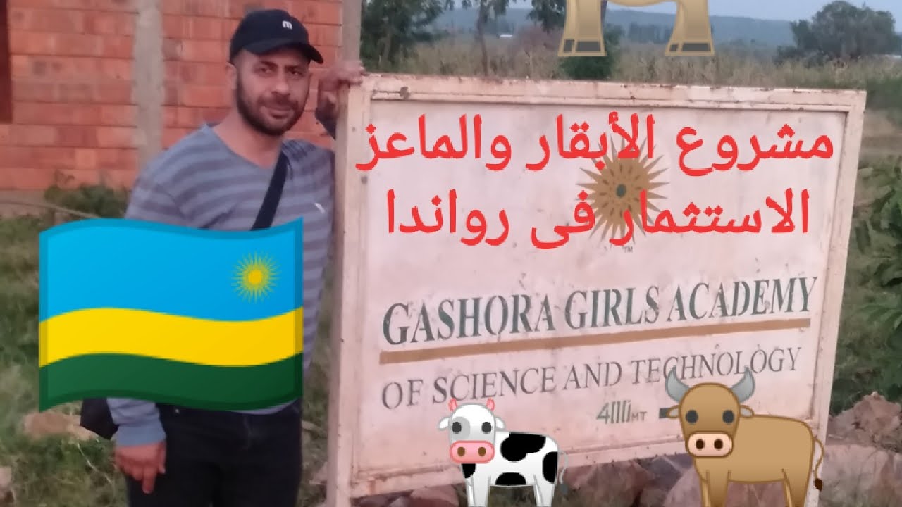 الاستثمار فى رواندا (مشروع تربية الماعز)