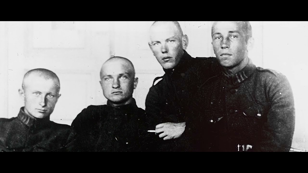 Steponas Darius. Legendinis lietuvių lakūnas, kovų už nepriklausomybę dalyvis