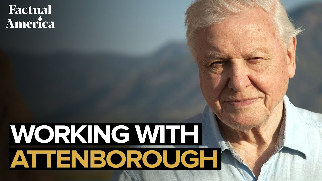 Working with Sir David Attenborough &mdash; What It Was Like