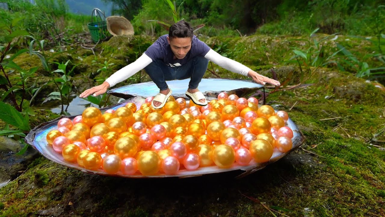 The clam was washed into shallow water by the flood, and there were golden pearls in its stomach