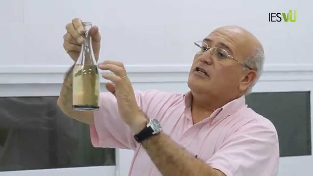 ENOTECNOLOGÍA- Ensayo de Clarificaciones en vino blanco