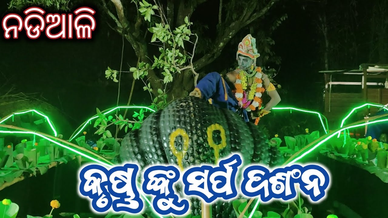 Nadiali || kalia dalana || ସର୍ପ ଦଂଶନ full video ( nadiali in khangarapali 