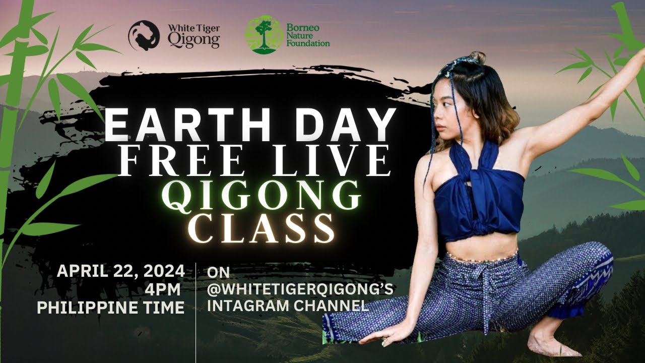 FREE LIVE Qigong Class! Help Save Borneo's Rainforests This Earth Day! 🍃✨🦧🐻☯️💚