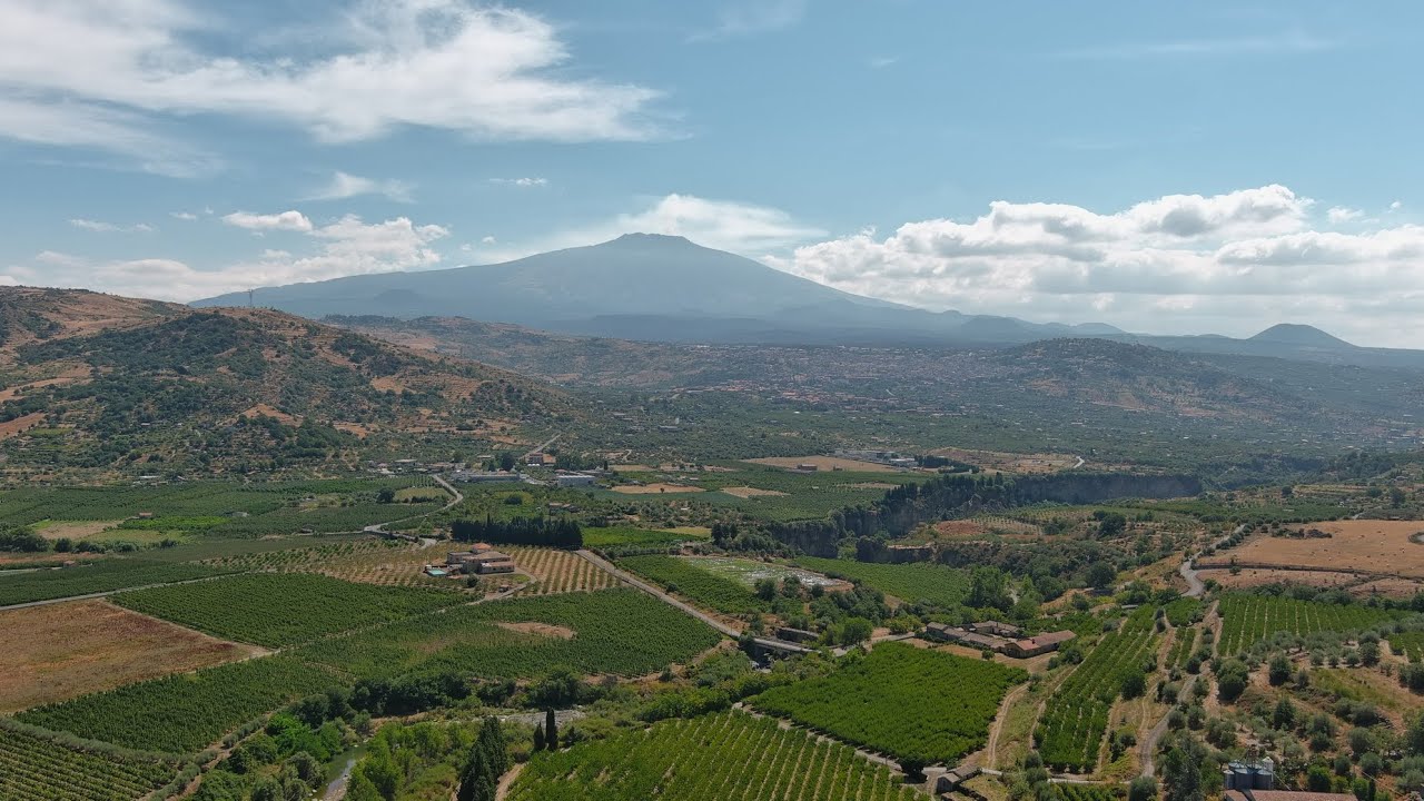 Forre laviche del fiume Simeto