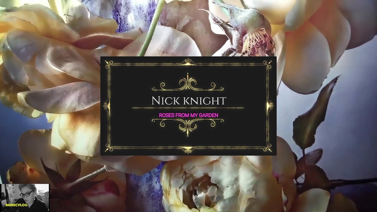 MoniCVlog -  Nick Knight - Roses from my garden. 🌹📷🎨