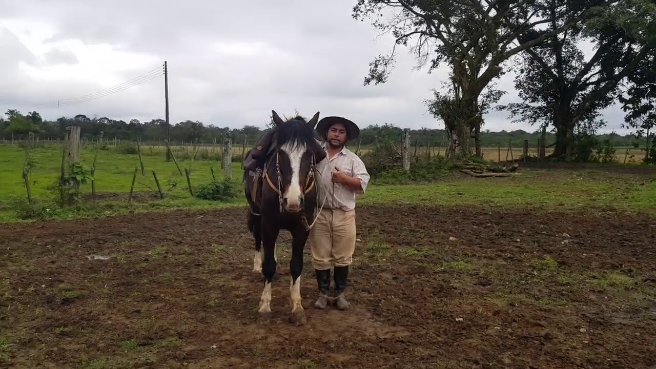 Como fazer para o cavalo ficar parado pra montar...