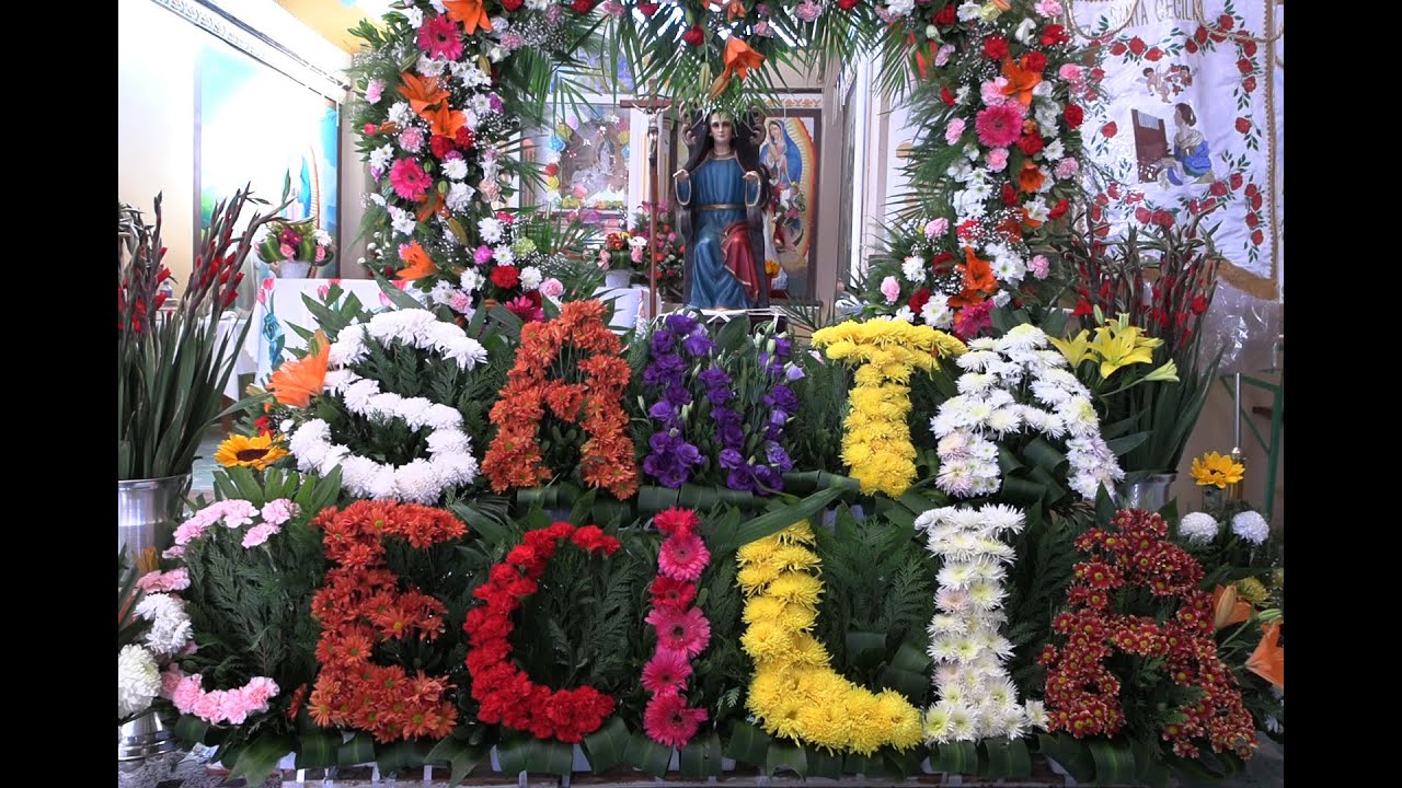 Santa Cecilia 2025 Procesion Loma Bonita Piaxtla Puebla Mexico