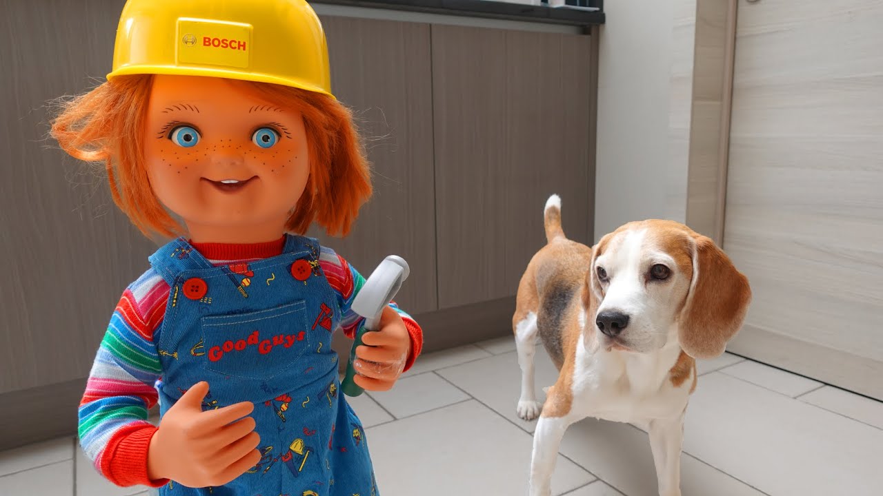 Funny Dogs Vs Evil Little Chucky : Dogs Louie & Marie