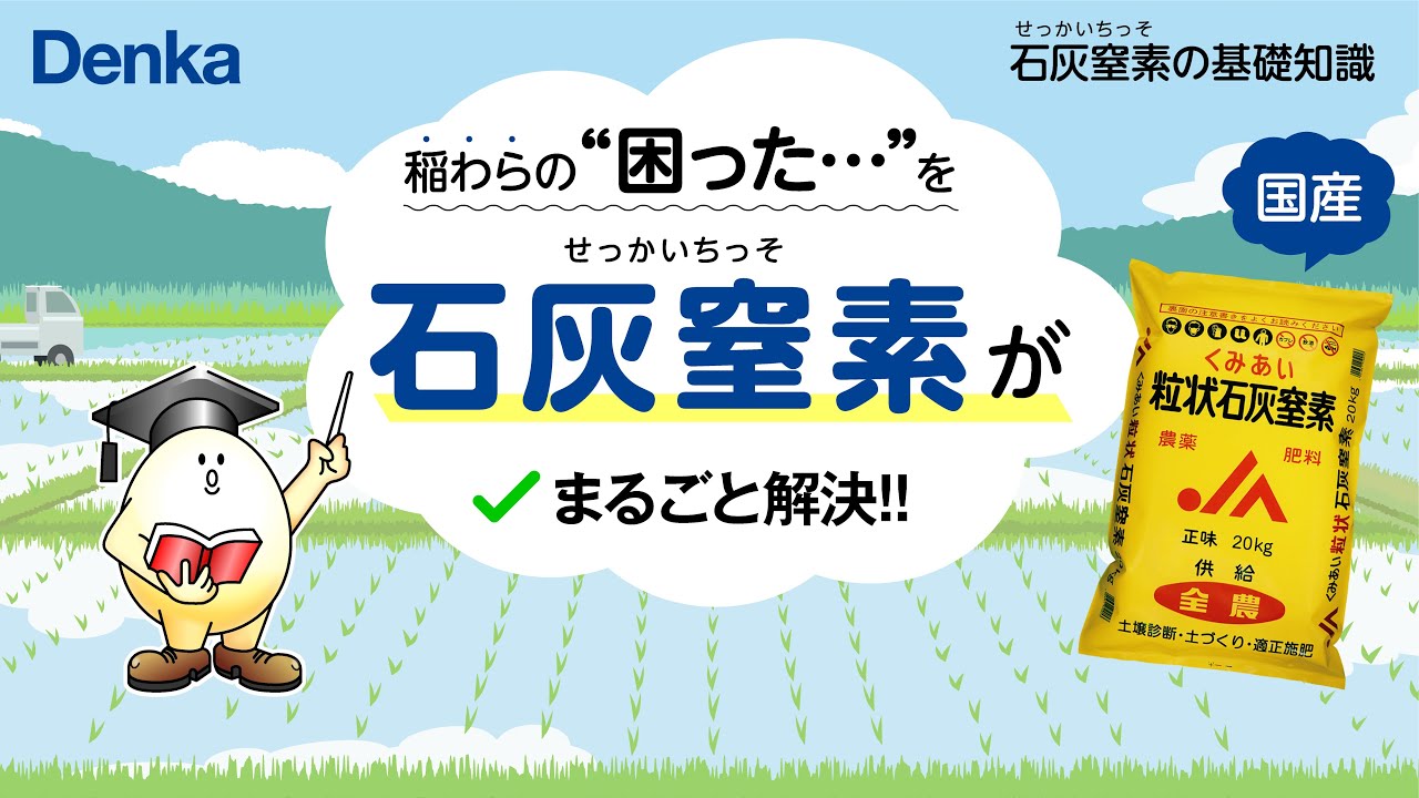 【肥料】石灰窒素の基礎知識②　　～稲わら腐熟促進で地力向上、増収、品質アップ！～