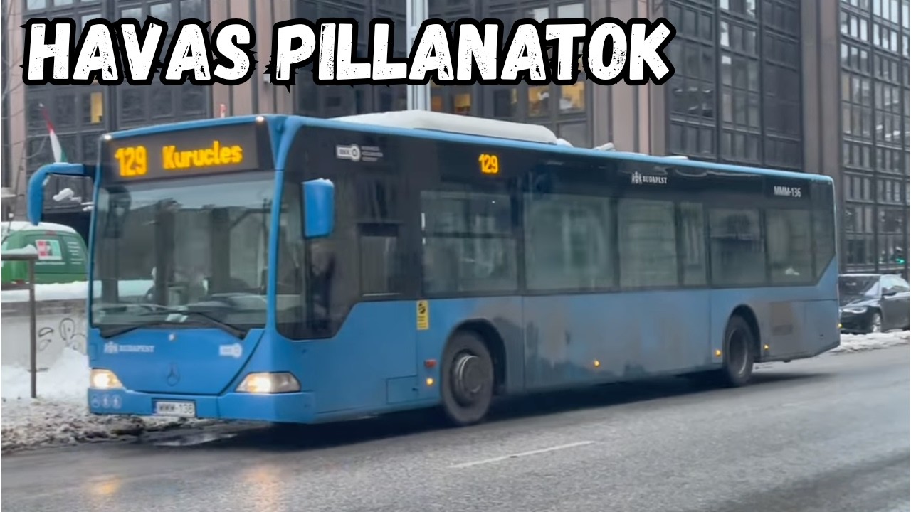 Citarok hóban! Szép és talán utolsó pillanatok...