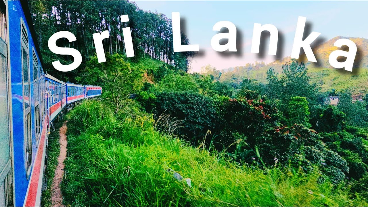 Shri Lanka, обзор гостиницы Occidental Eden Beruwala, Beruwala