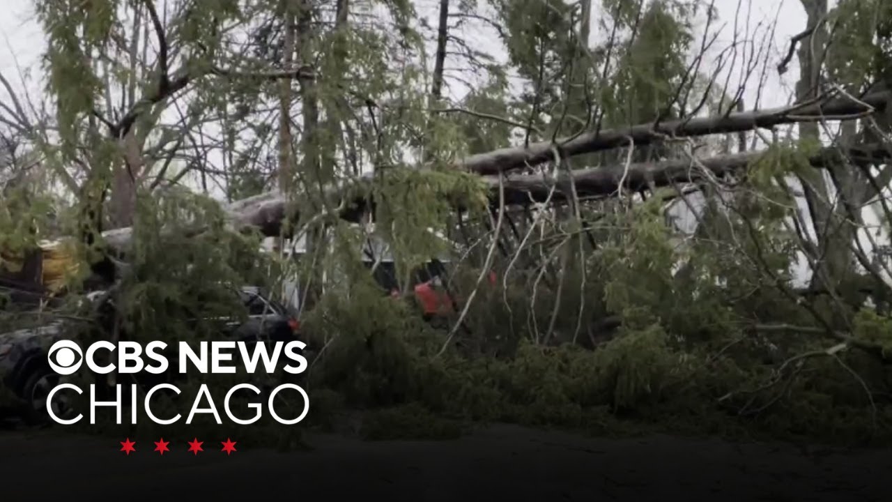 Downed trees, flooding across Illinois