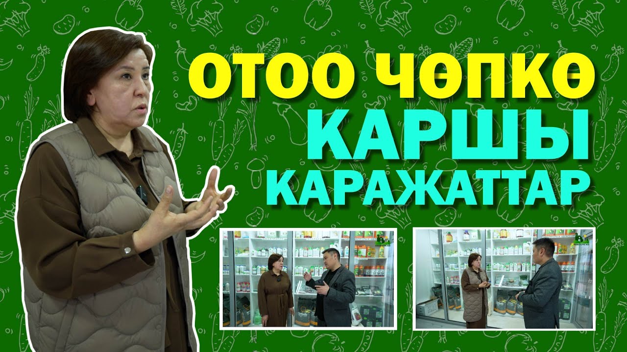 Отоо чөп, курт кумурска, ооруларга каршы препараттар. Агро Стайл. Agro Style.