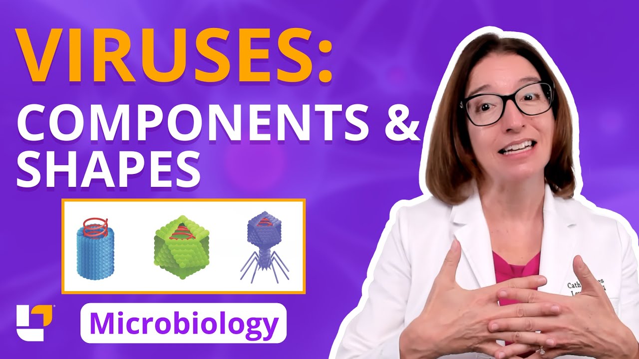 Viruses: Components & Shapes - Microbiology Acellular Pre-Nursing, Pre-Med | @Level Up RN