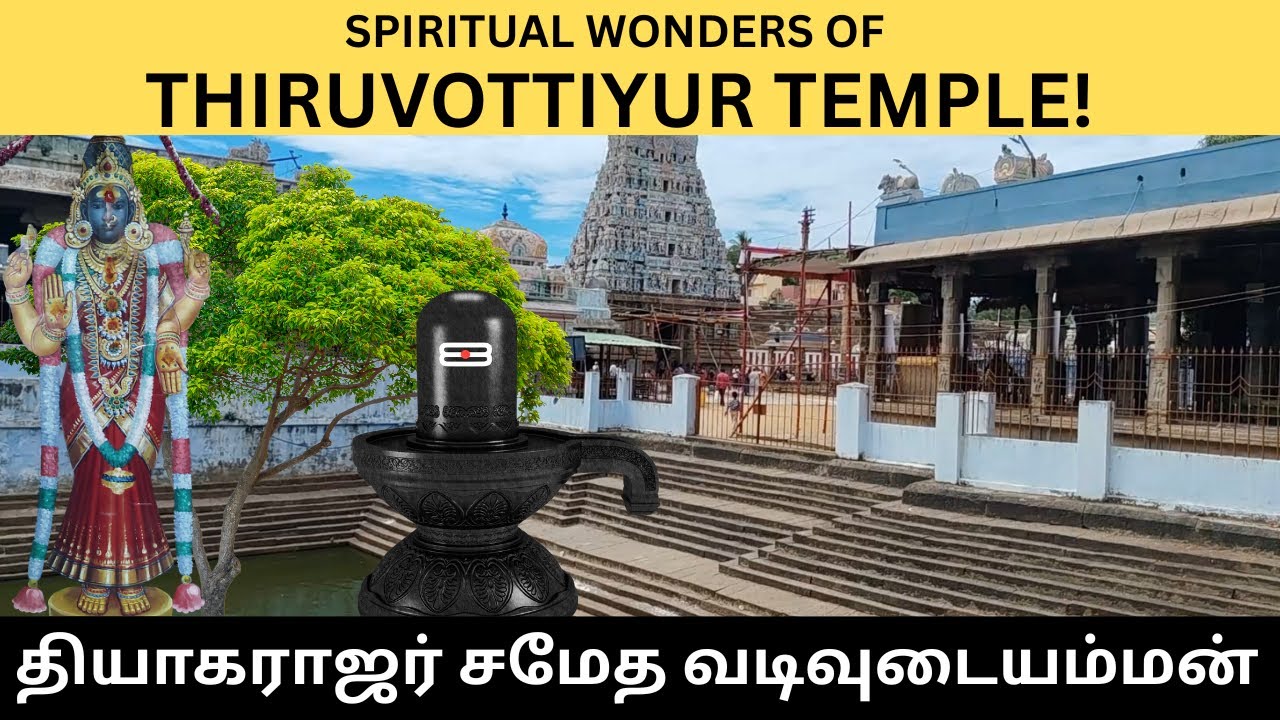 சுந்தரர் சாபம் நீங்கிய இடம் | வடிவுடை அம்மன் கோவிலின் உண்மை
