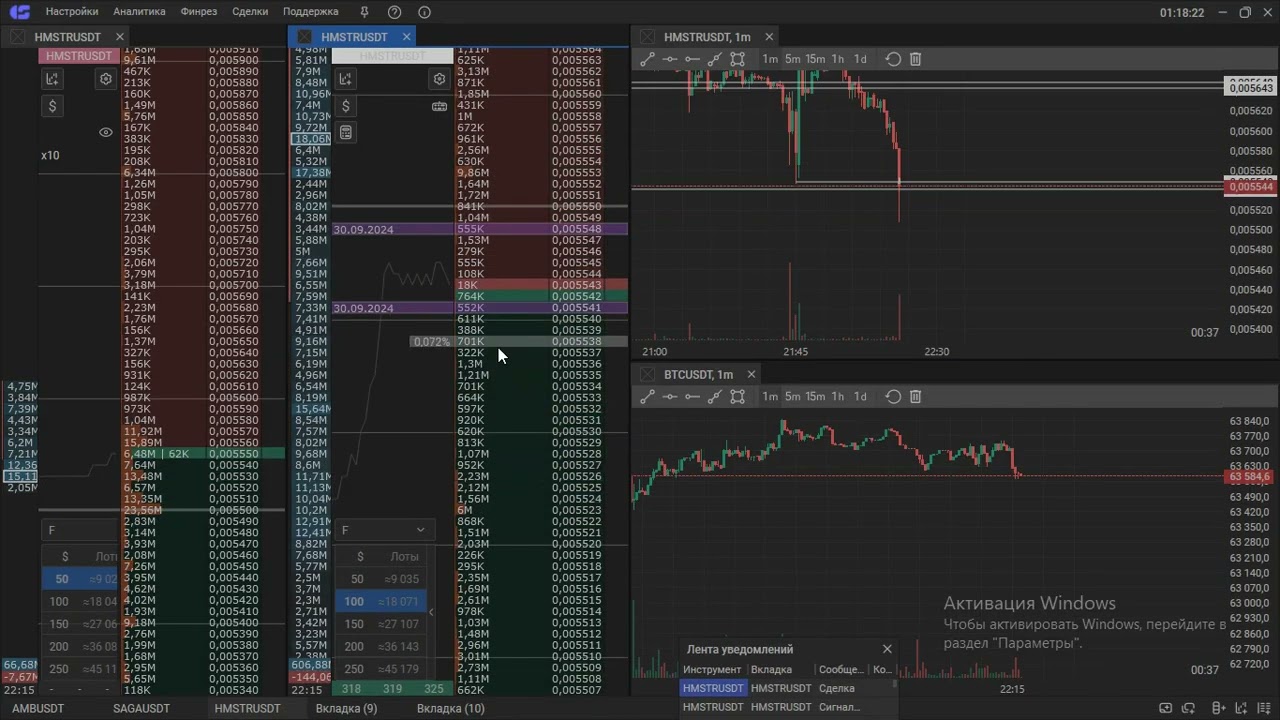 HMSTRUSDT 1.10.2024