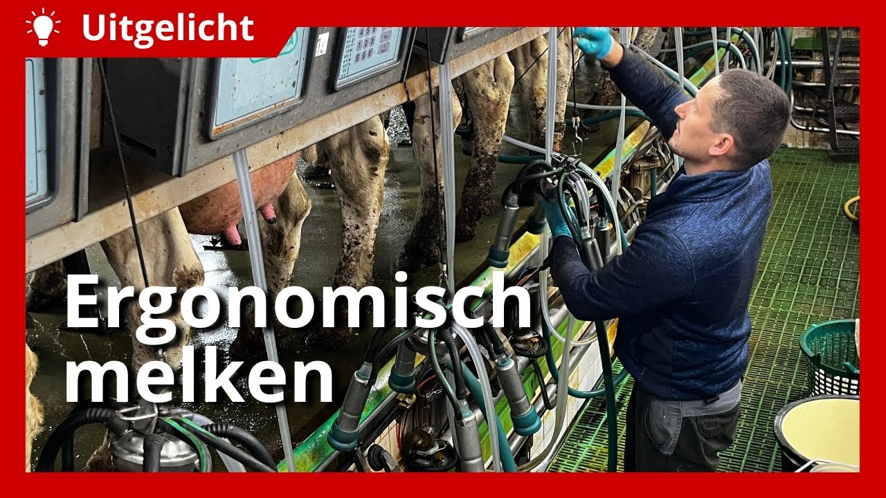 Uitgelicht | Ergonomisch melken: hoe voorkom je klachten?