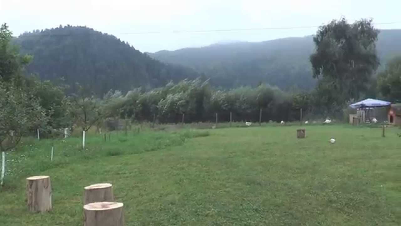 Casa de vacanta ROMARIA Gura Humorului