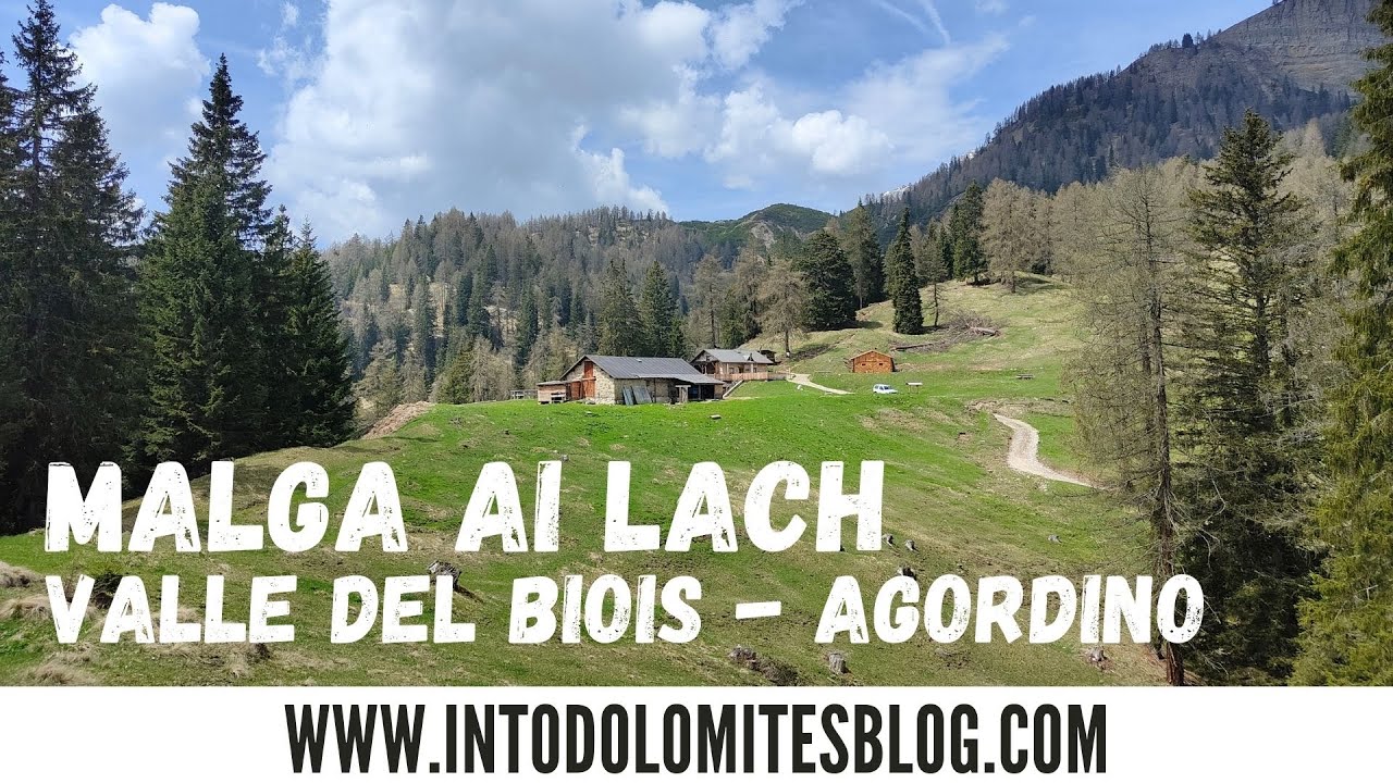 MALGA AI LACH - AGORDINO
