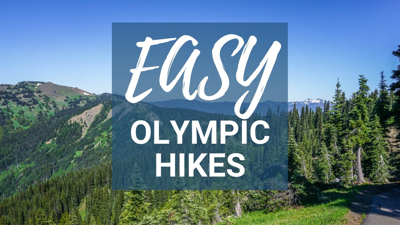 Best Easy Hikes in Olympic National Park