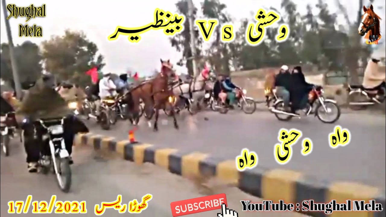 Weshi Vs Benazir Horse Race 19/12/2021 : GhourGhushti Horse Race