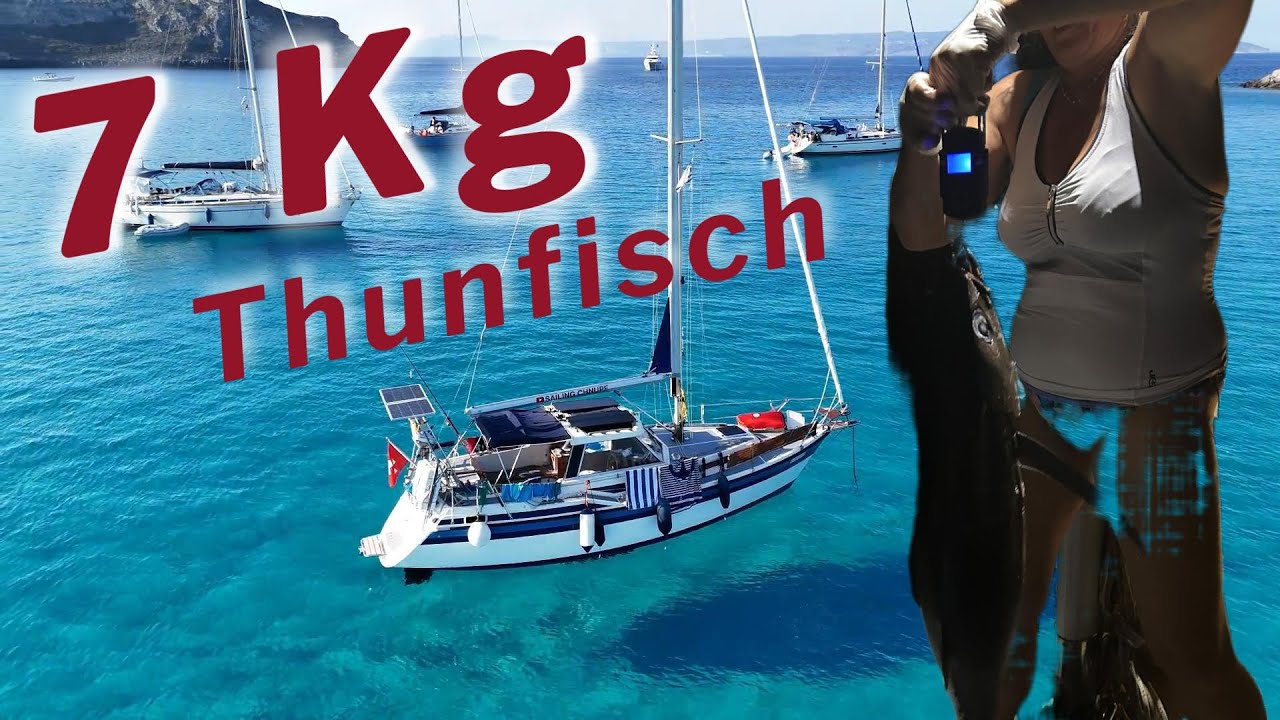 7 Kilogramm Tuna gefangen