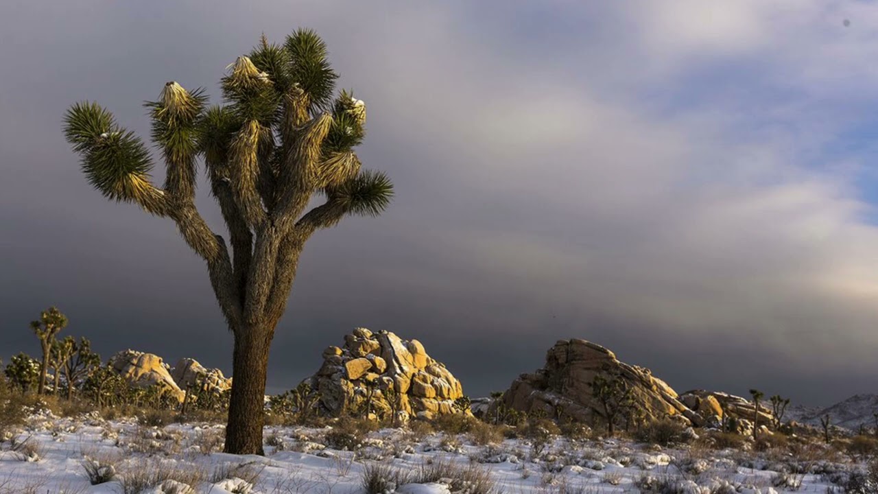 “Winter echoes” Desert Mohave Style 4 Hole Flute G minor
