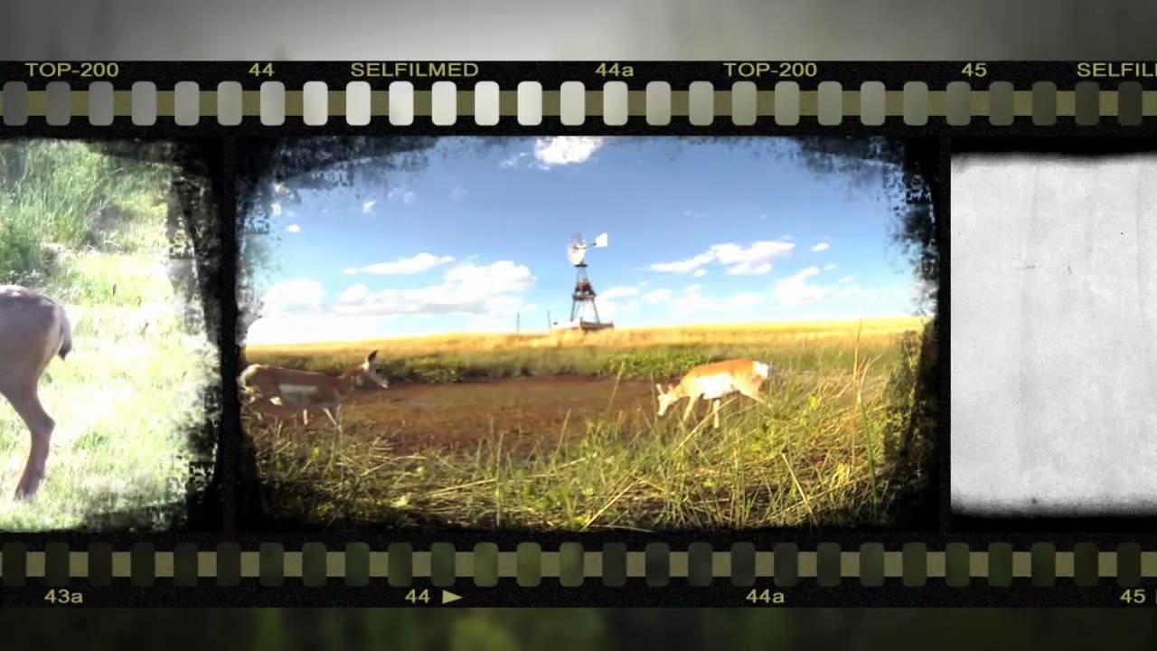 SELFILMED.COM 2012 INTRO