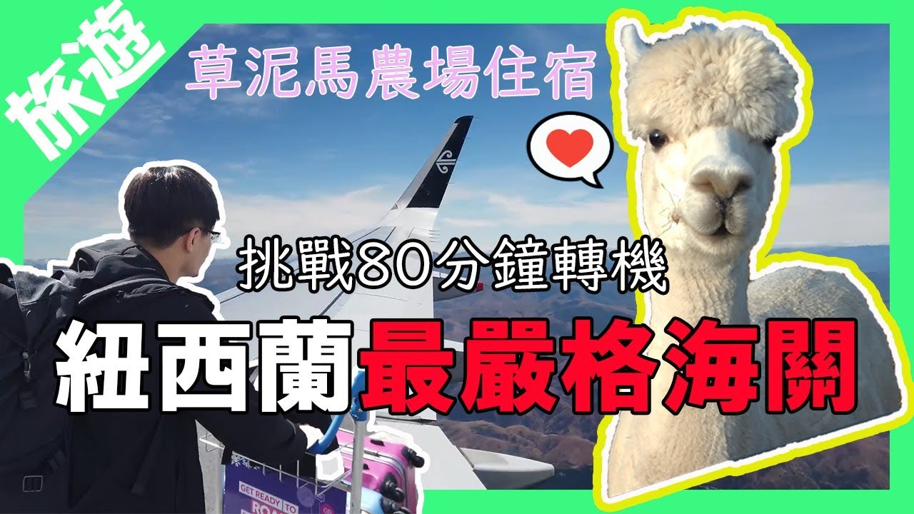 【紐西蘭蜜月】紐西蘭航空直飛轉機vs超嚴格海關｜療癒系草泥馬農場住宿｜自駕旅行Ezi Car Rental租車公司｜旅遊Vlog Ep1