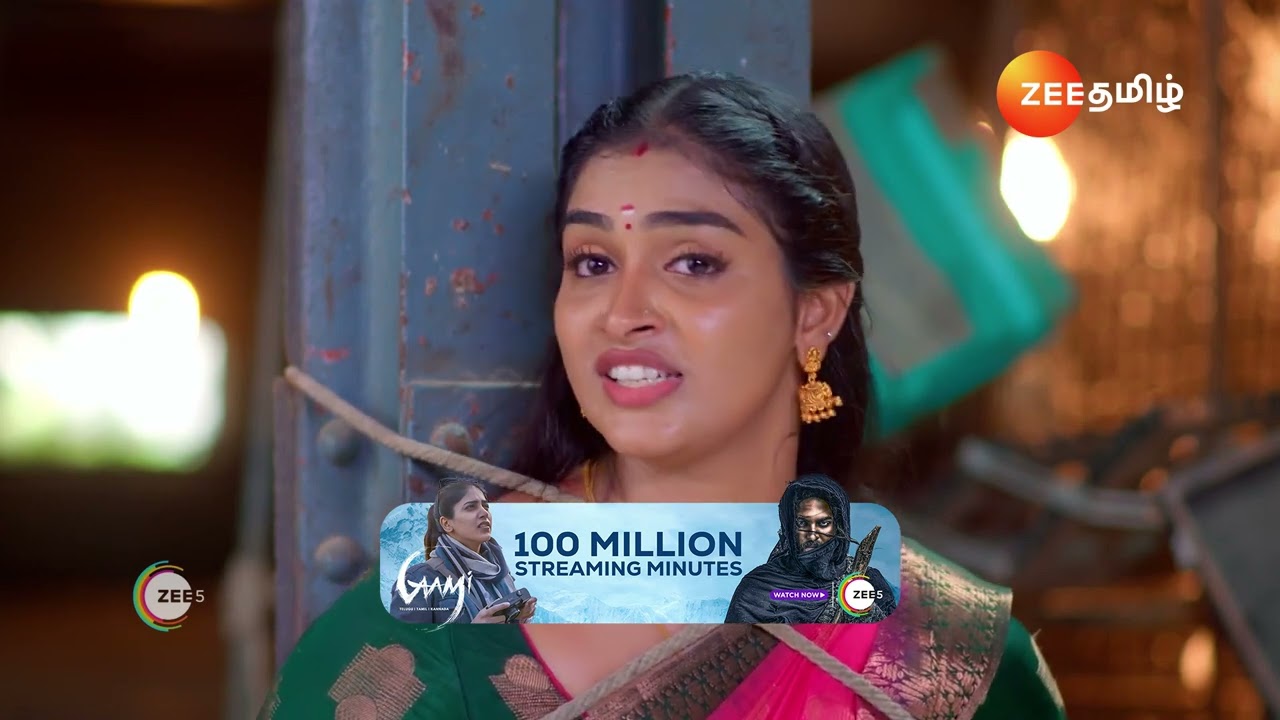 Karthigai Deepam | Ep - 583 |  | Aug, 24 2024 | Karthik Raj, Meera Krishnan | Zee Tamil