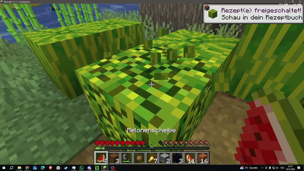 Minecraft aber SPIELMODUS ist HARDCORE